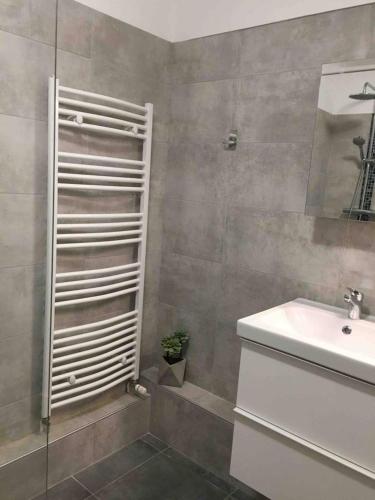 une salle de bain avec un lavabo, des toilettes et une douche dans l'établissement BedinReims cozy apartment parking and wifi free ideal 4 Adultes et 2 Enfants, à Reims