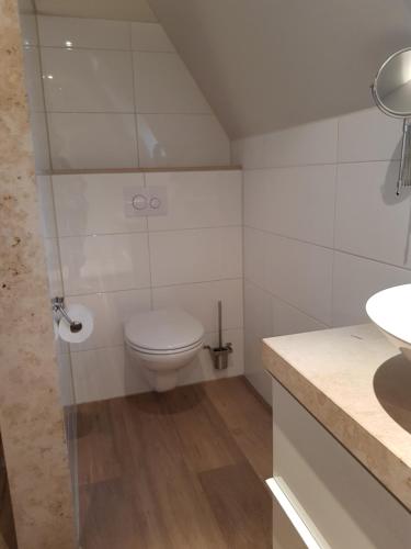a white bathroom with a toilet and a sink at Short stay Midden Drenthe in Beilen