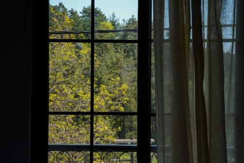 Fotografie z fotogalerie ubytování InGreen apartment v destinaci Potamiá