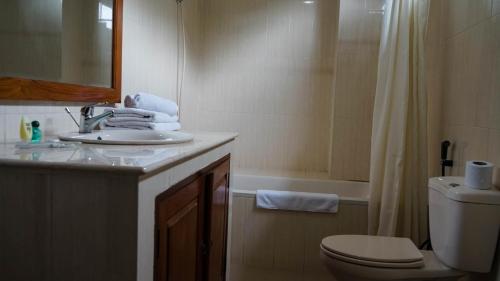 a bathroom with a sink and a toilet and a shower at Seaview Beach Resort in Jepara