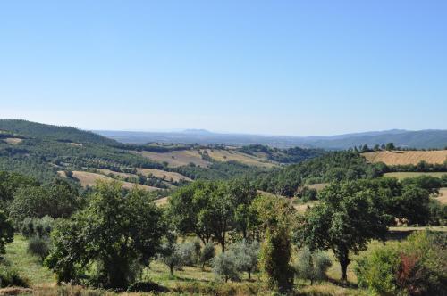 a view of a valley with trees and hills at Agriturismo La Meria in Semproniano