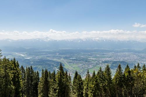 a view from the top of a mountain with trees at MOOKI Mountain & Pool Gerlitzen Apartment in Kanzelhöhe