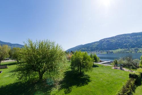 a park with trees and a lake in the background at MOOKI Beach Apartment in Bodensdorf