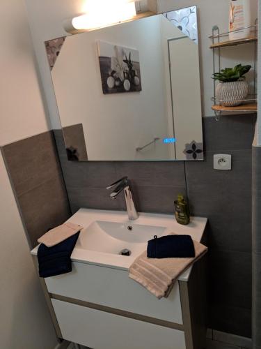 une salle de bain avec un lavabo et un miroir dans l'établissement Appartement au cœur du centre ville de Blois, à Blois