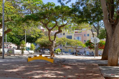 a park with a bench in front of a tree at Casa Doña Carmela GuestHouse - Tenerife in Santa Cruz de Tenerife