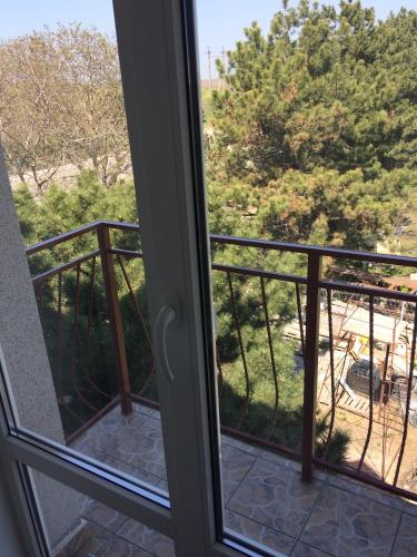 a view from a window of a balcony at Hotel Paulina in Făleşti