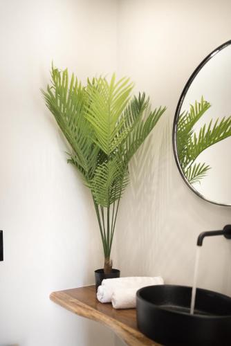 a bathroom with a black sink and a plant on a shelf at Portara Seaside Luxury Suites in Naxos Chora