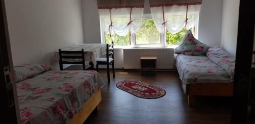 een slaapkamer met 2 bedden en een raam bij Perla Neagră Lotus Spa in Câineni-Băi