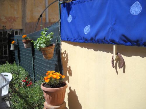 a wall with two flower pots on it with plants at Stella Marina delle 5 Terre in Levanto