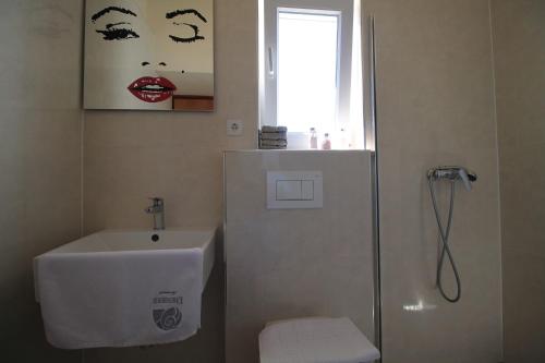 a bathroom with a shower and a sink and a window at Wish Apartments in Poreč