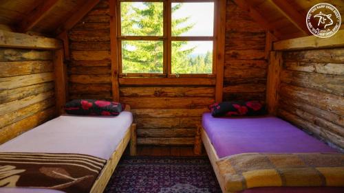 two beds in a log cabin with a window at Eco Camp Drno Brdo in Kosanica