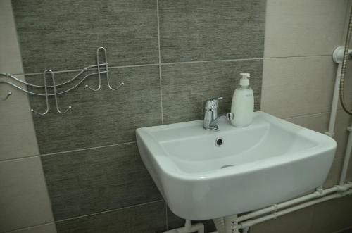 un lavabo con una botella de jabón. en Dora Apartment, en Kladovo