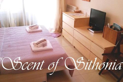 Fotografie z fotogalerie ubytování Beachfront SCENT OF SITHONIA with pool, Gerakini, Halikidiki v destinaci Yerakiní