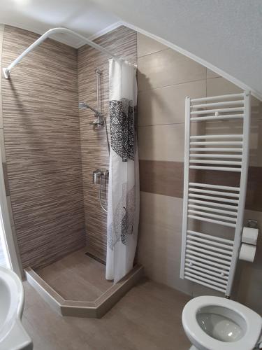 a bathroom with a shower and a toilet at House Naomi in Grabovac