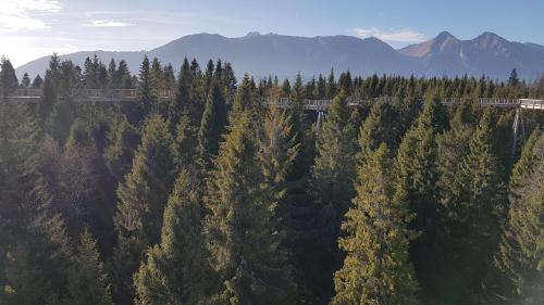 an aerial view of a forest with a train at Apartman Breza in Vysoké Tatry