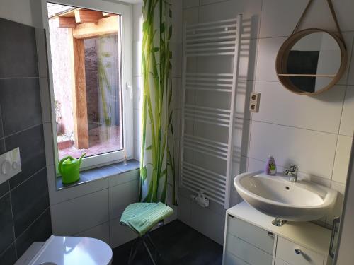 ein Bad mit einem Waschbecken und einem Spiegel in der Unterkunft "kleine Boddenburg" in Barth