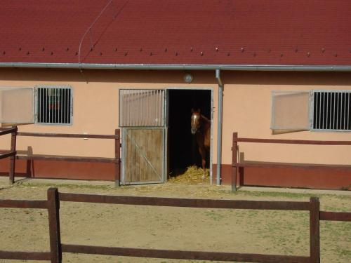 a horse is standing inside of a stable at Tótvár lovarda szálláshely in Kővágótőttős