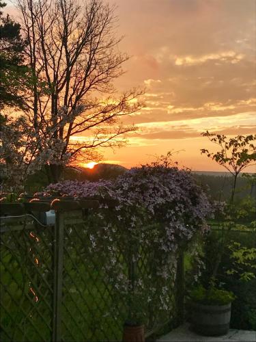 a sunset behind a fence with purple flowers at Mallyan Spout Hotel in Goathland