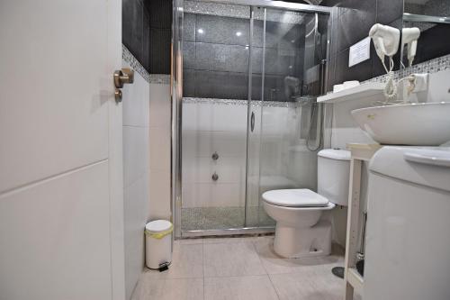 a bathroom with a shower and a toilet and a sink at Apartamentos Marques De La Merced in Málaga