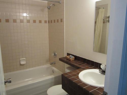 a bathroom with a sink and a tub and a toilet at Hotel Deoro in Lillooet