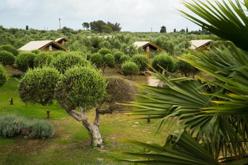 Gallery image of Agrikies Country Retreat in Marathopolis