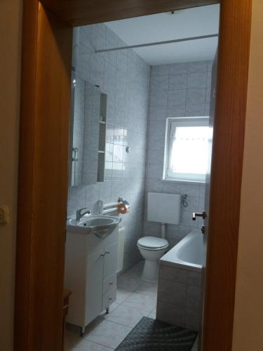 a bathroom with a sink and a toilet and a mirror at Guesthouse Tomas in Čatrnja