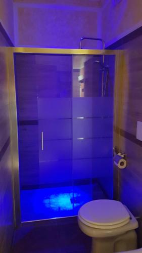 a bathroom with a toilet and a shower with blue lights at Agriturismo La Fornace centro ippico in Como