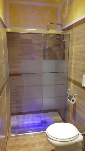 a bathroom with a toilet and a glass shower at Agriturismo La Fornace centro ippico in Como