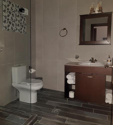 a bathroom with a toilet and a sink at Paralia Beach Boutique Hotel in Paralia Katerinis