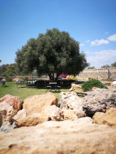 a group of rocks and a tree in a park at Casette Marianeddi -Agriturismo Marianeddi in Noto