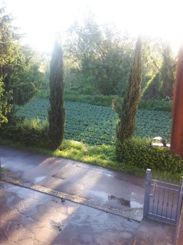 a view of a garden with trees and a pond at B&B DUE ABETI in Florence