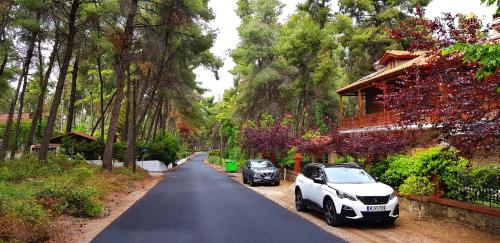 Gallery image of Wood and Stone Villa in Sani Beach