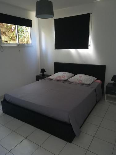 um quarto com uma cama com duas almofadas em résidence les ramiers em Les Trois-Îlets