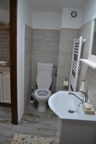a white bathroom with a toilet and a sink at Casa Maria in Şura Mică