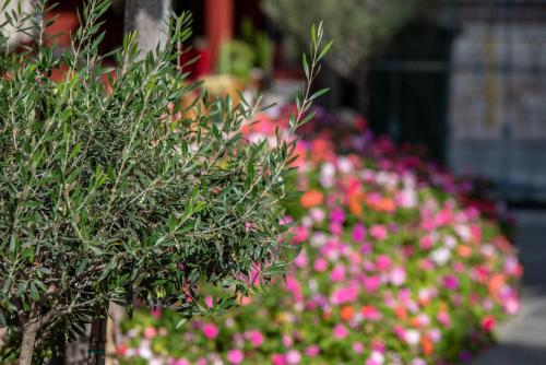 a row of pink and white flowers in a garden at Oniro Rooms & Suites in Leptokaria