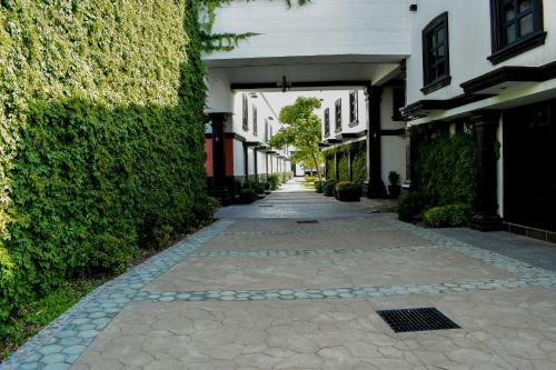 a walkway between two buildings with a hedge at The Latit Hotel Querétaro in Querétaro