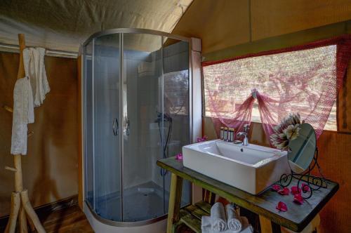 La salle de bains est pourvue d'un lavabo et d'une douche. dans l'établissement Agrikies Country Retreat, à Marathopolis