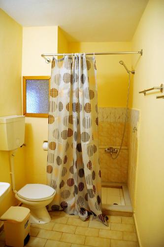 a bathroom with a shower and a toilet at Topakas House in Kambos