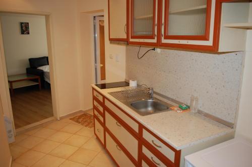 Dapur atau dapur kecil di Hotel Vitosha