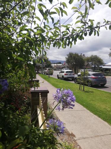 a sidewalk with flowers and cars parked in a parking lot at 125 Milton in Milton