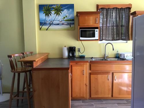 a kitchen with wooden cabinets and a sink and a refrigerator at BayBlue Suite 1 in Belize City