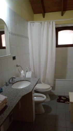 y baño con aseo, lavabo y ducha. en Refugio de las Sierras en Villa General Belgrano