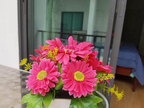 a bunch of pink flowers sitting in a vase at Amaretto Hostel in Surat Thani