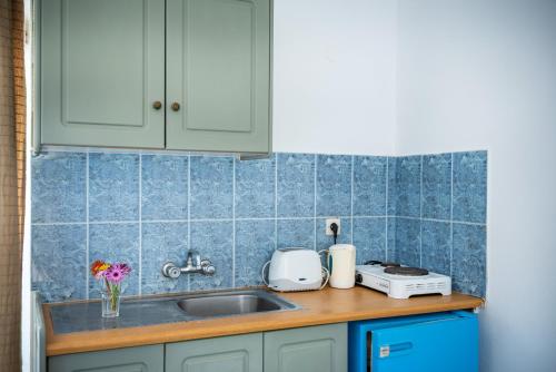 a kitchen counter with a sink and a toaster at Fotini Studios in Kámpos