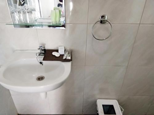 een witte badkamer met een wastafel en een douche bij Villaloe in Bromo
