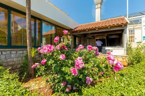 a bush of pink flowers in front of a house at Pansion Srebreno in Mlini