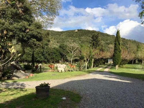 Fotografia z galérie ubytovania Can Guilló 1 v destinácii Darnius