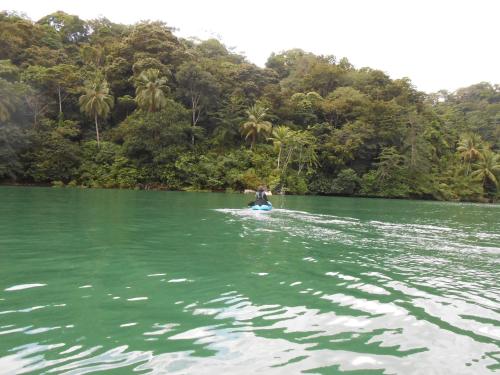 a person on a paddle board in the water at Banana Bay Marina in Golfito