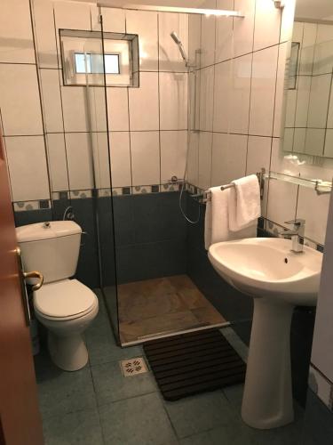 a bathroom with a toilet and a sink at Pensiunea Cerbul Carpatin in Bran