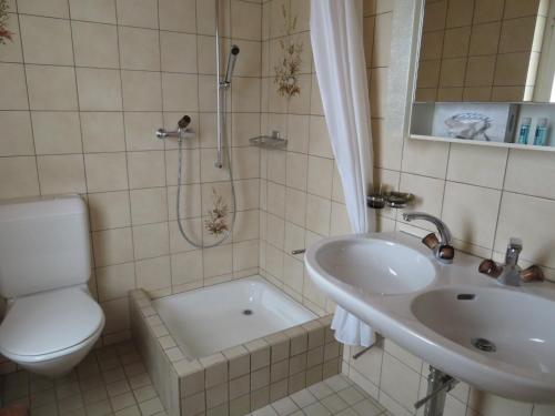 a bathroom with a toilet and a sink and a shower at Landhaus an der Thur in Alt Sankt Johann